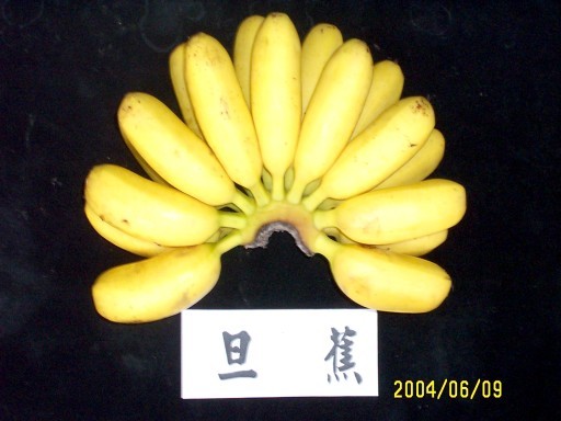 蛋蕉（旦蕉）