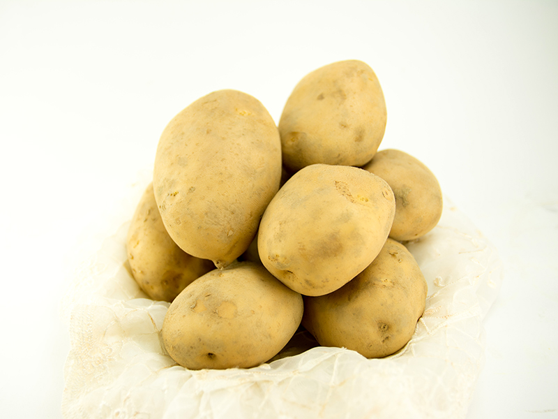 圖1、新品種馬鈴薯「台農4號」薯球大小均勻，外型優美。